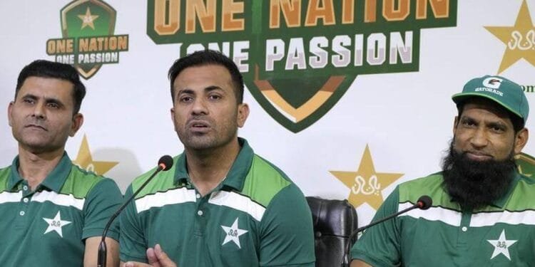 পিসিবির নির্বাচক কমিটি থেকে বাদ রাজ্জাক ও ওয়াহাব