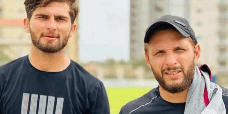 বিপিএলে জামাই-শ্বশুর দ্বৈরথ নিয়ে যা বললেন শাহিন আফ্রিদী