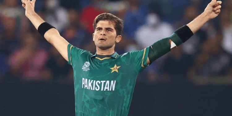 বিপিএলে বরিশালের বড় তারকা শাহিন আফ্রিদী