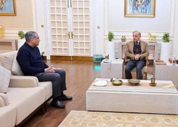 প্রধানমন্ত্রী শাহবাজ শরিফের সাথে পিসিবি চেয়ারম্যানের সাক্ষাৎ, বাংলাদেশের পাশে পাকিস্তান